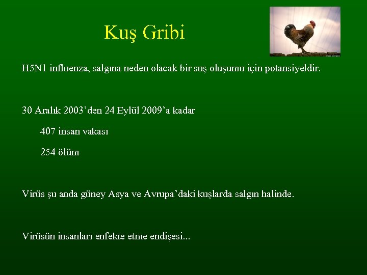 Kuş Gribi H 5 N 1 influenza, salgına neden olacak bir suş oluşumu için