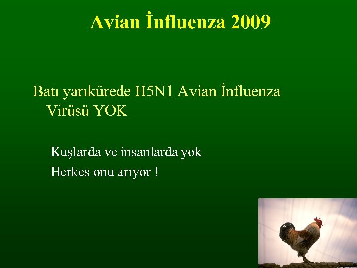Avian İnfluenza 2009 Batı yarıkürede H 5 N 1 Avian İnfluenza Virüsü YOK Kuşlarda