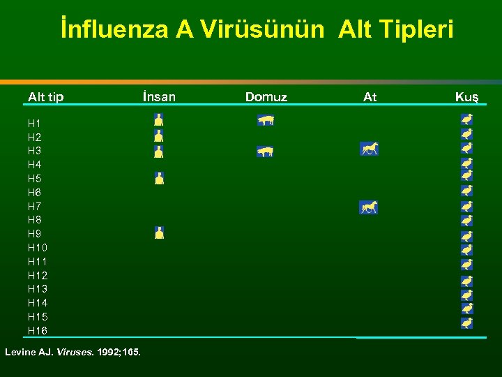 İnfluenza A Virüsünün Alt Tipleri Alt tip H 1 H 2 H 3 H