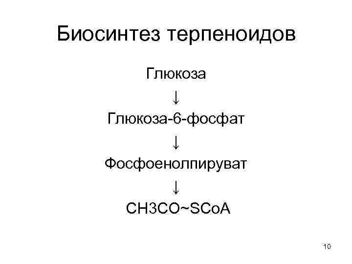 Биосинтез терпеноидов Глюкоза ↓ Глюкоза-6 -фосфат ↓ Фосфоенолпируват ↓ CH 3 CO~SCo. A 10