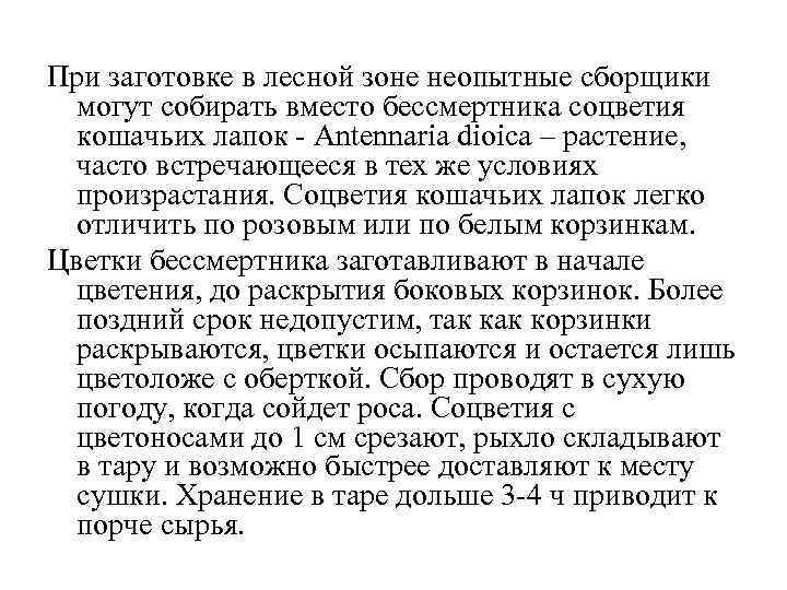 При заготовке в лесной зоне неопытные сборщики могут собирать вместо бессмертника соцветия кошачьих лапок