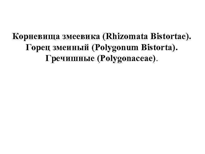 Корневища змеевика (Rhizomata Bistortae). Горец змеиный (Polygonum Bistorta). Гречишные (Polygonaceae). 