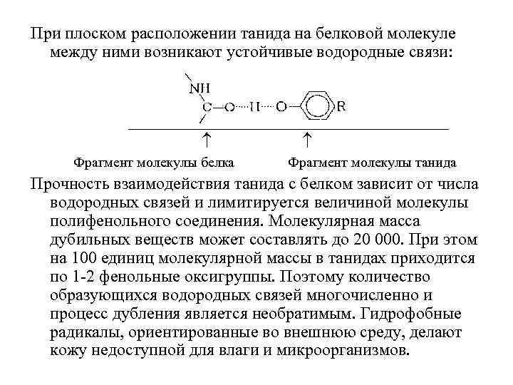 Дубильными веществами называют. Место расположения радикалов в белковой молекуле. Дубление белков. Радикально расположение. Тонно-танид что это.