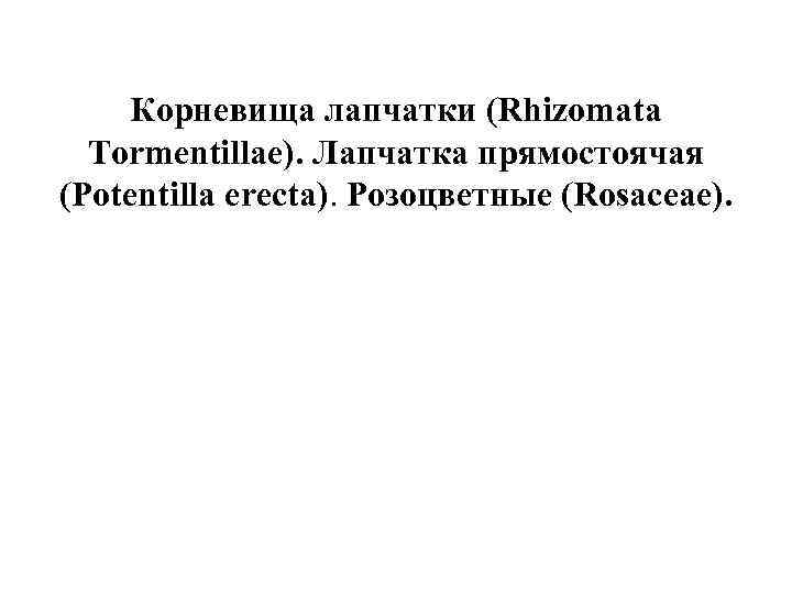 Корневища лапчатки (Rhizomata Tormentillae). Лапчатка прямостоячая (Potentilla erecta). Розоцветные (Rosaceae). 