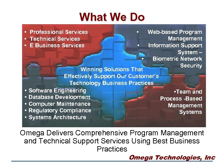 What We Do • Professional Services • Technical Services • E Business Services •