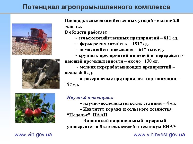 Потенциал агропромышленного комплекса Площадь сельскохозяйственных угодий - свыше 2, 0 млн. га. В области