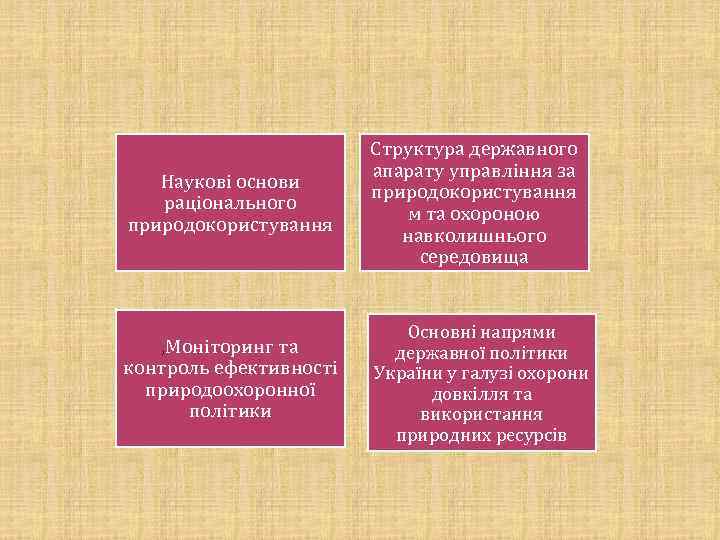 Наукові основи раціонального природокористування , Моніторинг та контроль ефективності природоохоронної політики Структура державного апарату