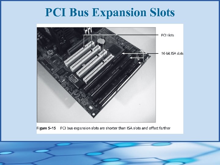 PCI Bus Expansion Slots 