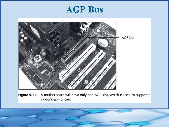 AGP Bus 