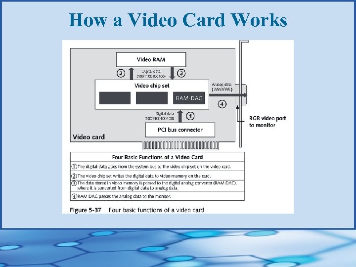 How a Video Card Works 
