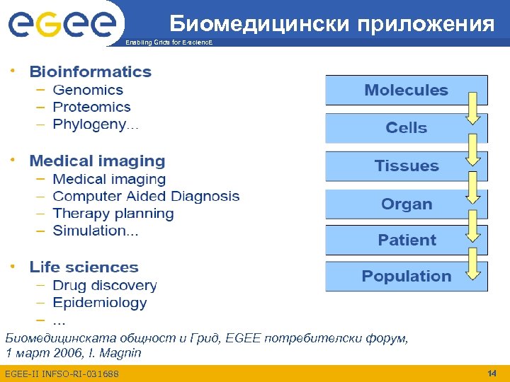 Биомедицински приложения Enabling Grids for E-scienc. E Биомедицинската общност и Грид, EGEE потребителски форум,