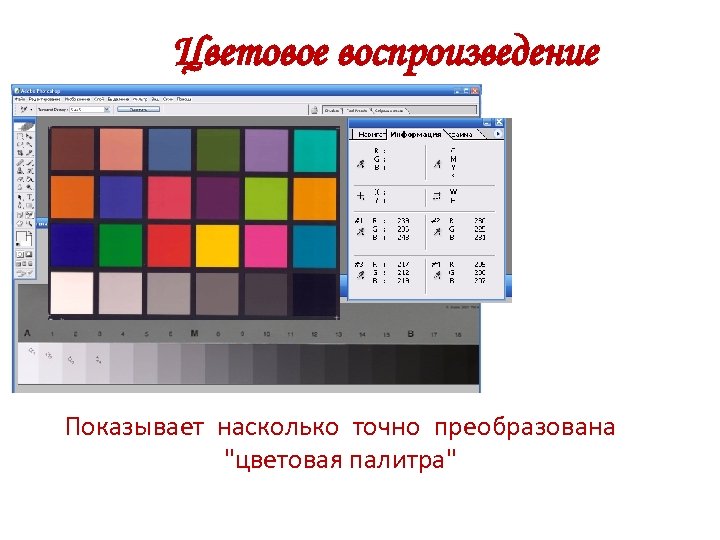 Цветовое воспроизведение Показывает насколько точно преобразована 