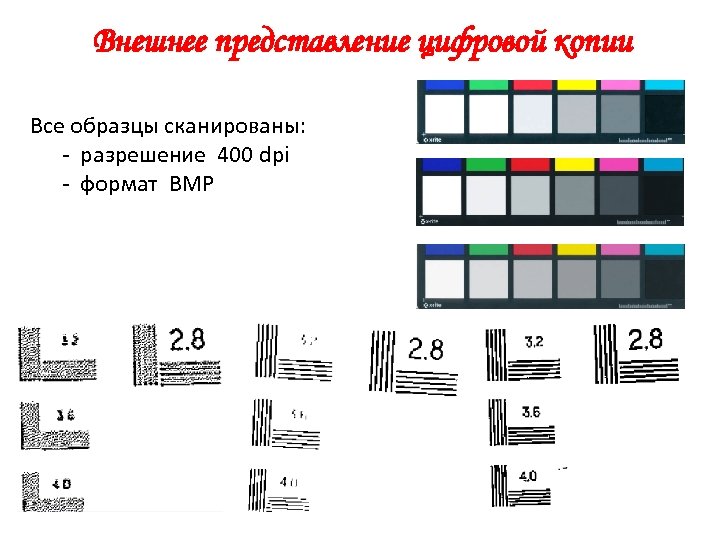 Внешнее представление цифровой копии Все образцы сканированы: - разрешение 400 dpi - формат BMP