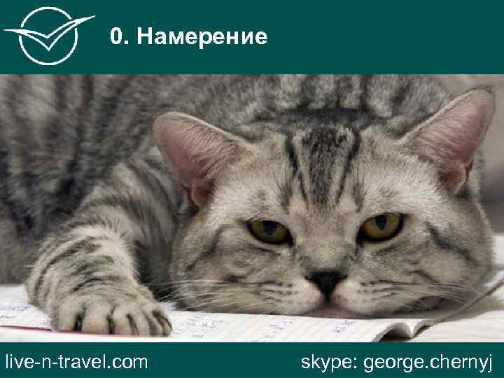 0. Намерение live-n-travel. com skype: george. chernyj 