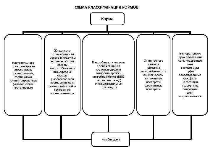 Схема классификации кормов