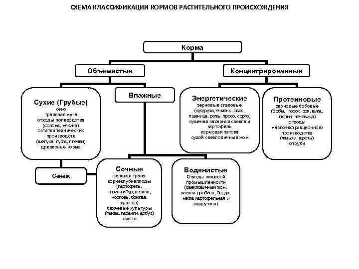 СХЕМА КЛАССИФИКАЦИИ КОРМОВ РАСТИТЕЛЬНОГО ПРОИСХОЖДЕНИЯ Корма Объемистые Сухие (Грубые) Влажные Энергетические зерновые злаковые (кукуруза,