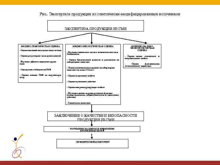Рис. Экспертиза продукции из генетически модифицированных источников ЭКСПЕРТИЗА ПРОДУКЦИИ ИЗ ГМИ МЕДИКО-ГЕНЕТИЧЕСКАЯ ОЦЕНКА Оценка