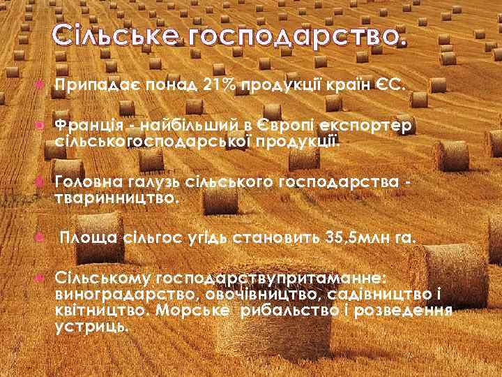 Сільське господарство. Припадає понад 21% продукції країн ЄС. Франція - найбільший в Європі експортер