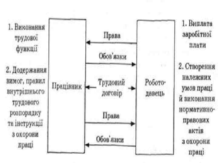 Основні умови. Правила співпраці між працівником та власником. 