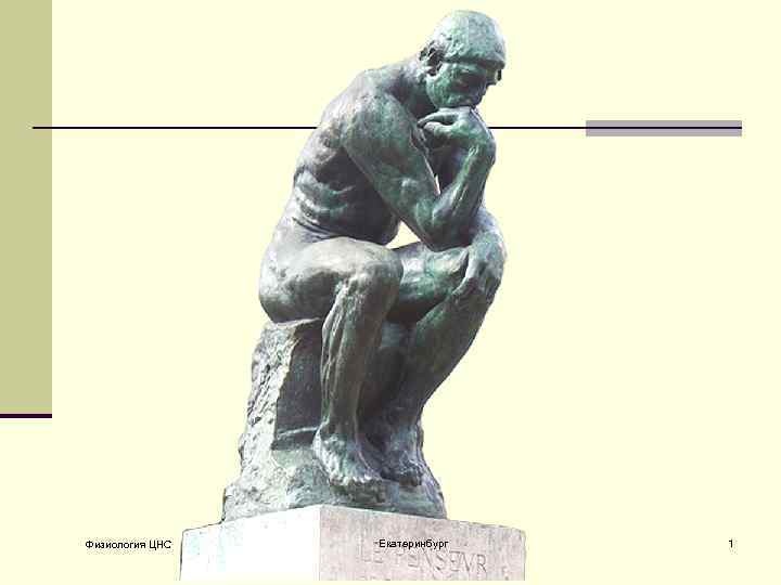 Физиология ЦНС Екатеринбург 1 