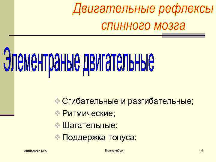 v Сгибательные и разгибательные; v Ритмические; v Шагательные; v Поддержка тонуса; Физиология ЦНС Екатеринбург