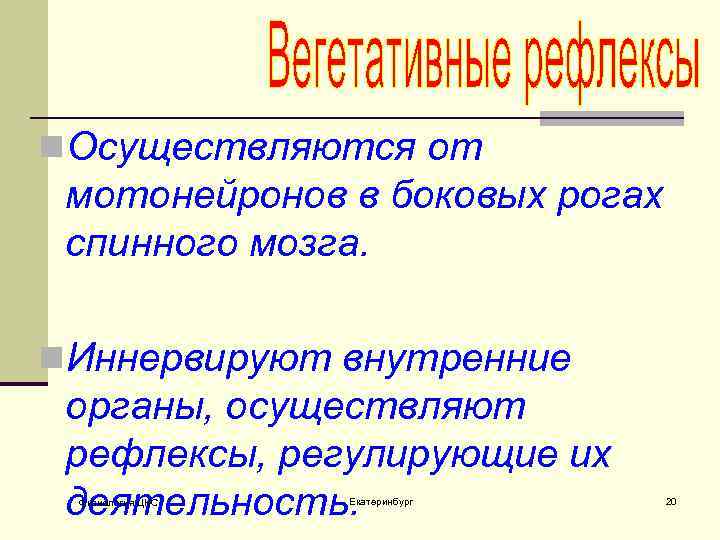 n. Осуществляются от мотонейронов в боковых рогах спинного мозга. n. Иннервируют внутренние органы, осуществляют