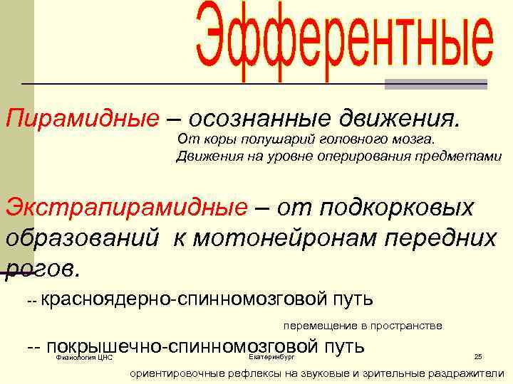 Пирамидные – осознанные движения. От коры полушарий головного мозга. Движения на уровне оперирования предметами