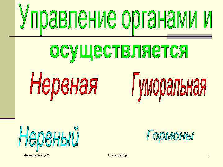 Физиология ЦНС Екатеринбург 3 