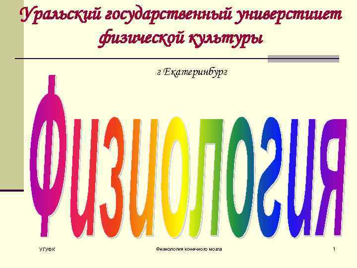 Уральский государственный универстииет физической культуры г Екатеринбург УГУФК Физиология конечного мозга 1 