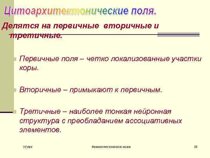 Делятся на первичные вторичные и третичные. n Первичные поля – четко локализованные участки коры.