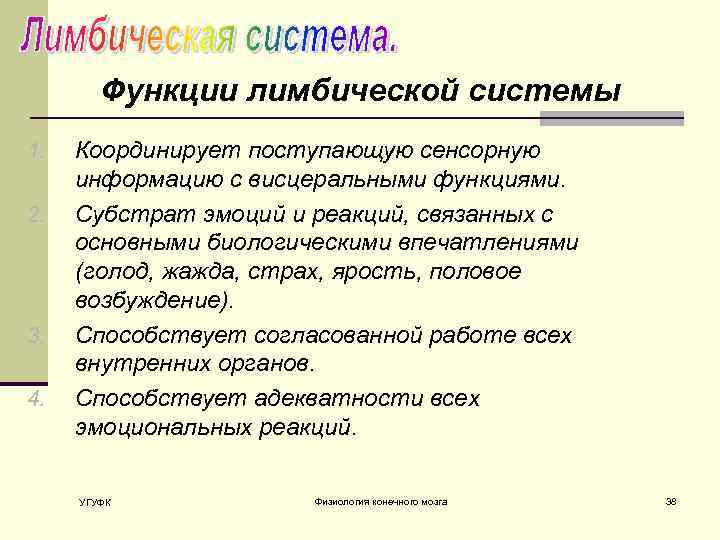 Функции лимбической системы 1. 2. 3. 4. Координирует поступающую сенсорную информацию с висцеральными функциями.
