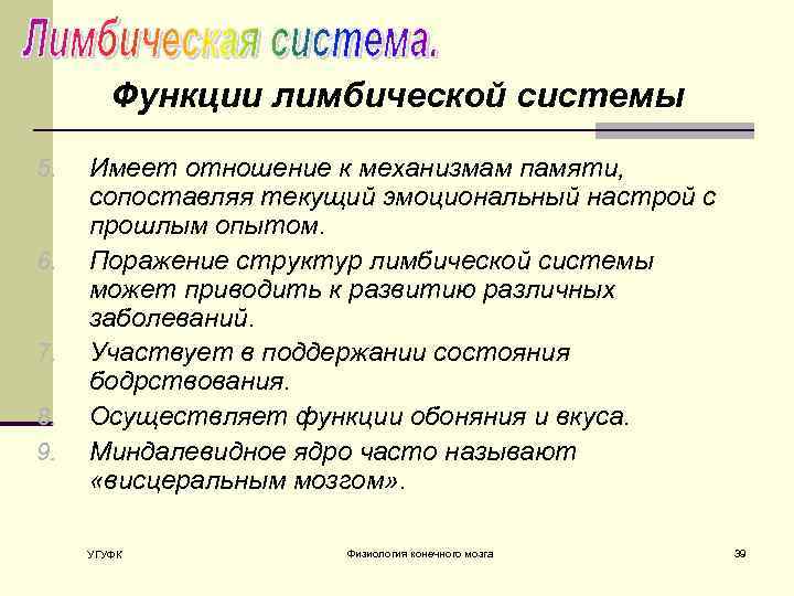 Функции лимбической системы 5. 6. 7. 8. 9. Имеет отношение к механизмам памяти, сопоставляя