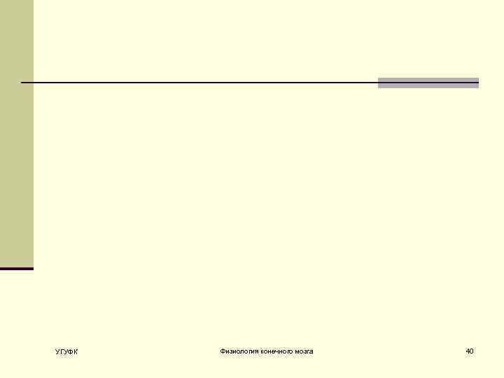 УГУФК Физиология конечного мозга 40 