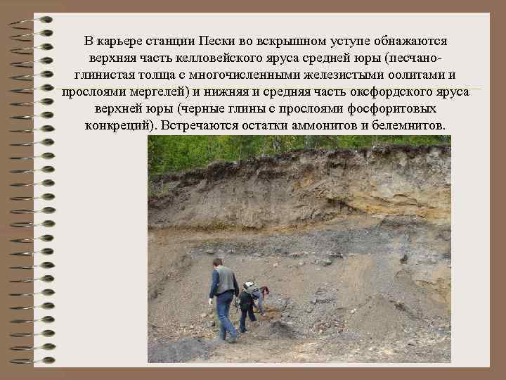 В карьере станции Пески во вскрышном уступе обнажаются верхняя часть келловейского яруса средней юры