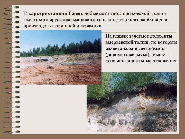 В карьере станции Гжель добывают глины щелковской толщи гжельского яруса клязьминского горизонта верхнего карбона