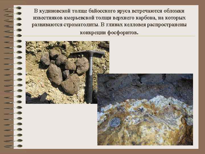 В кудиновской толще байосского яруса встречаются обломки известняков амерьевской толщи верхнего карбона, на которых