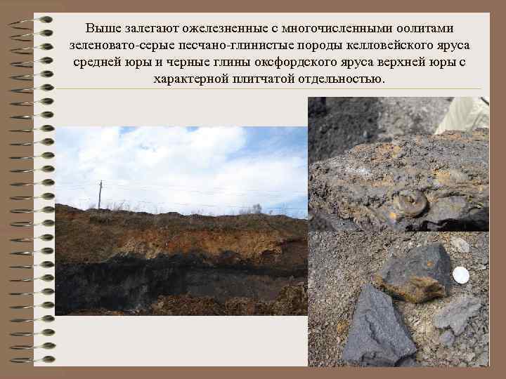 Выше залегают ожелезненные с многочисленными оолитами зеленовато-серые песчано-глинистые породы келловейского яруса средней юры и