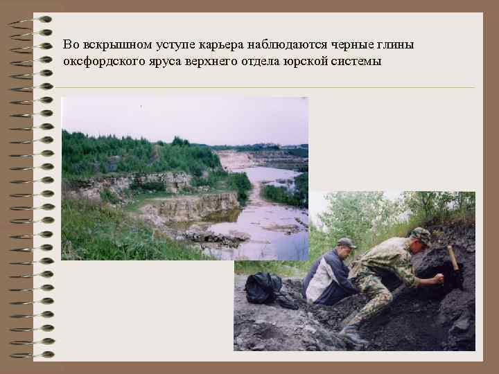 Во вскрышном уступе карьера наблюдаются черные глины оксфордского яруса верхнего отдела юрской системы 