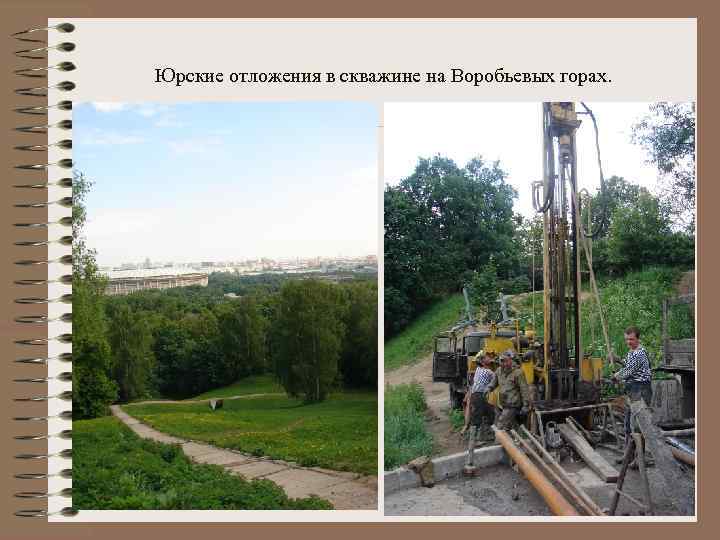 Юрские отложения в скважине на Воробьевых горах. 