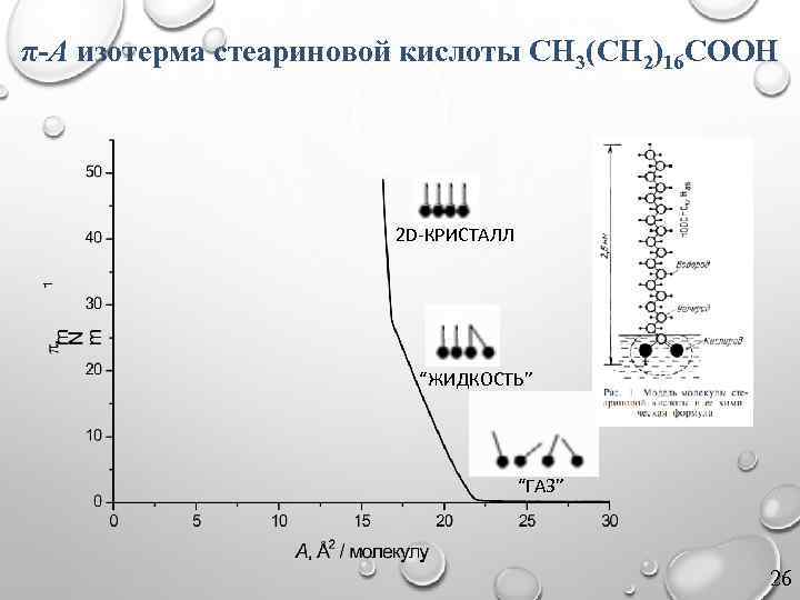 π-A изотерма стеариновой кислоты CH 3(CH 2)16 COOH 2 D-КРИСТАЛЛ “ЖИДКОСТЬ” “ГАЗ” 26 