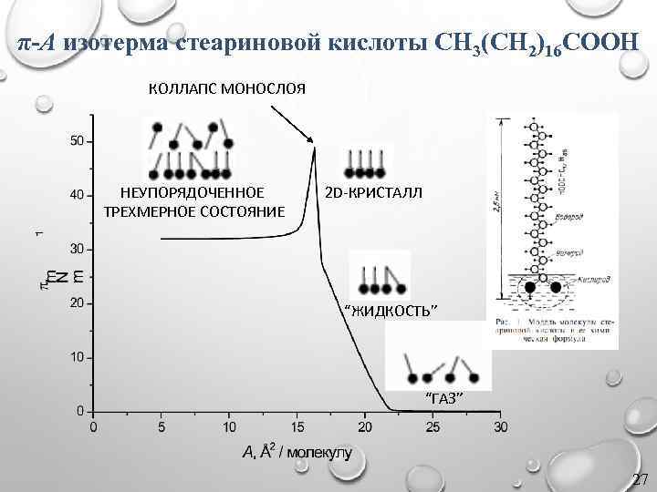 π-A изотерма стеариновой кислоты CH 3(CH 2)16 COOH КОЛЛАПС МОНОСЛОЯ НЕУПОРЯДОЧЕННОЕ ТРЕХМЕРНОЕ СОСТОЯНИЕ 2