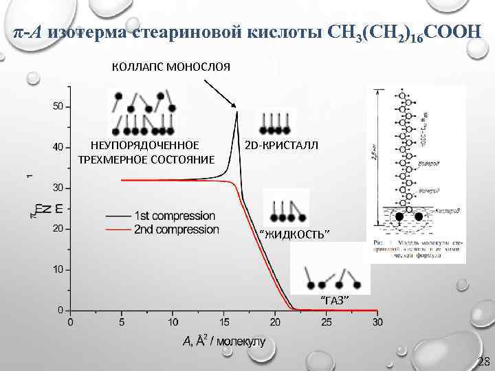 π-A изотерма стеариновой кислоты CH 3(CH 2)16 COOH КОЛЛАПС МОНОСЛОЯ НЕУПОРЯДОЧЕННОЕ ТРЕХМЕРНОЕ СОСТОЯНИЕ 2