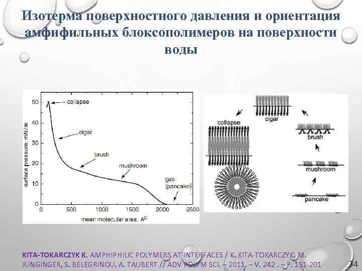 Изотерма поверхностного давления и ориентация амфифильных блоксополимеров на поверхности воды KITA-TOKARCZYK K. AMPHIPHILIC POLYMERS