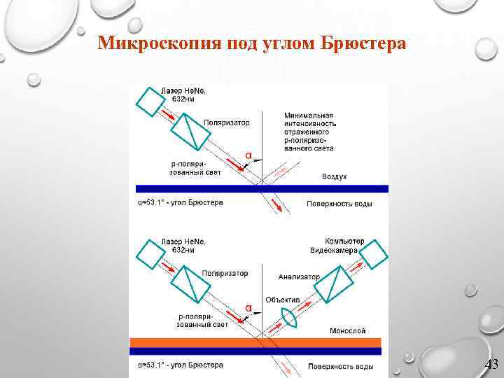 Микроскопия под углом Брюстера 43 