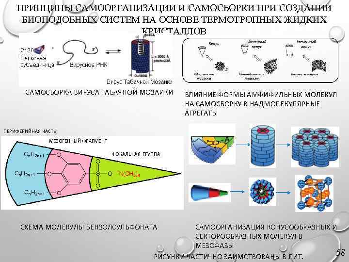 ПРИНЦИПЫ САМООРГАНИЗАЦИИ И САМОСБОРКИ ПРИ СОЗДАНИИ БИОПОДОБНЫХ СИСТЕМ НА ОСНОВЕ ТЕРМОТРОПНЫХ ЖИДКИХ КРИСТАЛЛОВ САМОСБОРКА