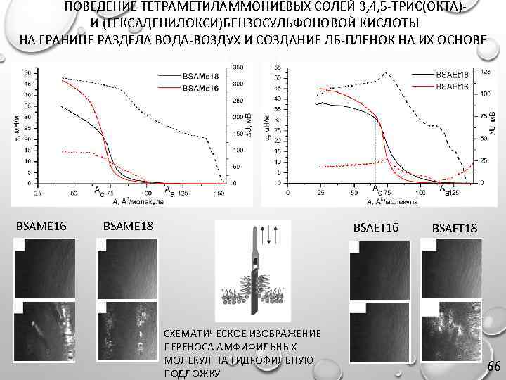 ПОВЕДЕНИЕ ТЕТРАМЕТИЛАММОНИЕВЫХ СОЛЕЙ 3, 4, 5 -ТРИС(ОКТА) И (ГЕКСАДЕЦИЛОКСИ)БЕНЗОСУЛЬФОНОВОЙ КИСЛОТЫ НА ГРАНИЦЕ РАЗДЕЛА ВОДА-ВОЗДУХ