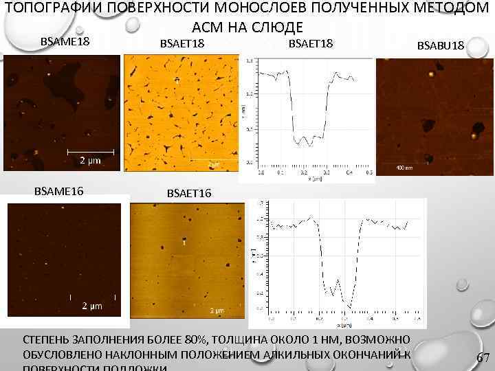 ТОПОГРАФИИ ПОВЕРХНОСТИ МОНОСЛОЕВ ПОЛУЧЕННЫХ МЕТОДОМ АСМ НА СЛЮДЕ BSAME 18 BSAME 16 BSAET 18