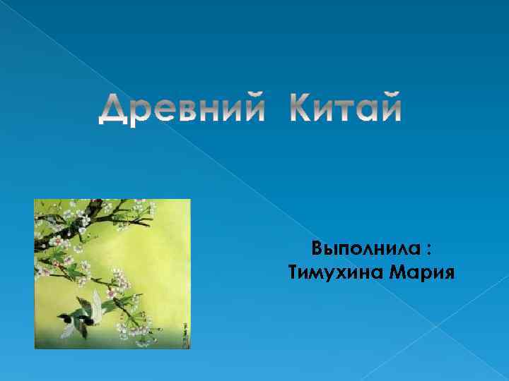 Выполнила : Тимухина Мария 