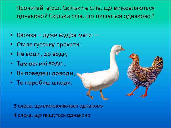Прочитай вірш. Скільки є слів, що вимовляються однаково? Скільки слів, що пишуться однаково? •