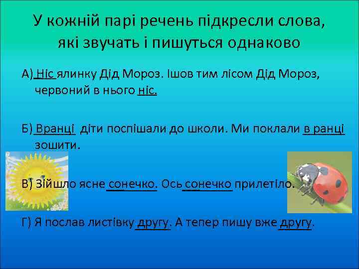 У кожній парі речень підкресли слова, які звучать і пишуться однаково А) Ніс ялинку